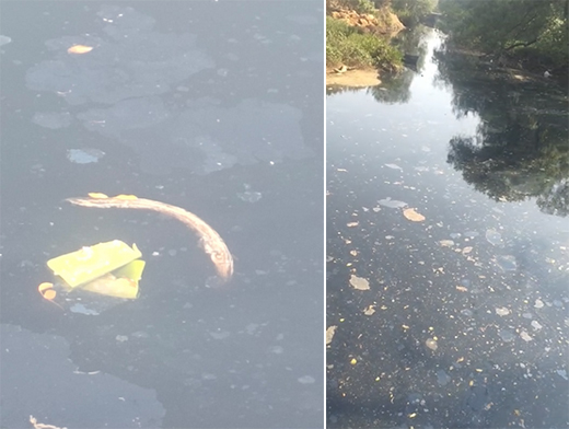 River pollution near Kuloor